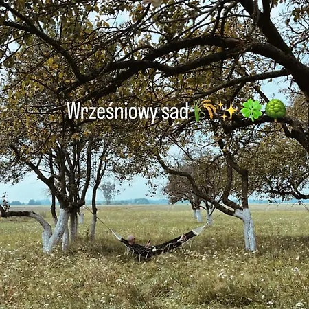 Dom W Sadzie Шале *