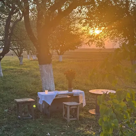 Dom W Sadzie Kostomloty