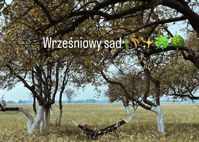 Dom W Sadzie Horská chata *