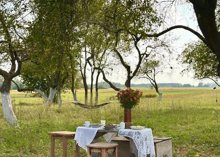 Dom W Sadzie * Kostomloty