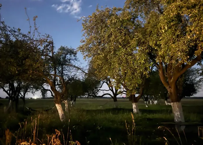 Horská chata Dom W Sadzie