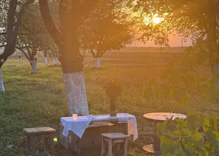 Dom W Sadzie Kostomloty